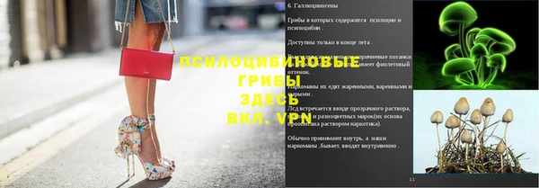 стафф Аркадак