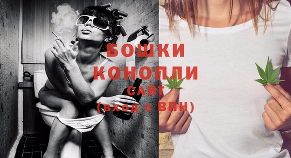 стафф Аркадак