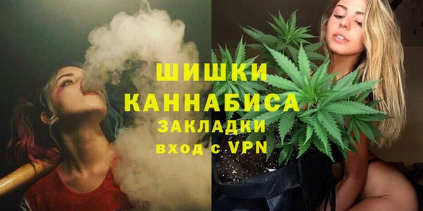 стафф Аркадак
