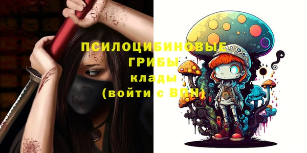 бошки Армянск